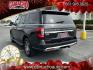 2024 GRAY Ford Expedition (1FMJU1K80RE) with an V6 EcoBoost Twin Turbo 3.5 Liter engine, Automatic 10-Spd w/SelectShift transmission, located at 412 Auto Vista Drive, Palmdale, CA, 93551, (661) 945-0620, 34.592636, -118.136681 - Photo#4
