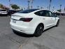 2023 WHITE Tesla Model 3 (5YJ3E1EA5PF) with an AC Electric Motor engine, Single-Speed Fixed Gear transmission, located at 412 Auto Vista Drive, Palmdale, CA, 93551, (661) 945-0620, 34.592636, -118.136681 - Photo#8