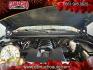 2019 GRAY Chevrolet Silverado 1500 2WD (2GCRCPEC1K1) with an 8-Cyl 5.3 Liter engine, Automatic 6-Spd HD w/Overdrive transmission, located at 412 Auto Vista Drive, Palmdale, CA, 93551, (661) 945-0620, 34.592636, -118.136681- Photo#24