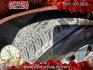 2024 RED Nissan Altima (1N4BL4DV7RN) with an 4-Cyl 2.5 Liter engine, Automatic Xtronic CVT transmission, located at 412 Auto Vista Drive, Palmdale, CA, 93551, (661) 945-0620, 34.592636, -118.136681 - Photo#14