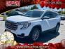 2024 WHITE GMC Terrain (3GKALVEG4RL) with an 4-Cyl Turbo 1.5 Liter engine, Automatic 9-Spd transmission, located at 412 Auto Vista Drive, Palmdale, CA, 93551, (661) 945-0620, 34.592636, -118.136681 - Photo#2
