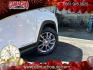 2024 WHITE GMC Terrain (3GKALVEG4RL) with an 4-Cyl Turbo 1.5 Liter engine, Automatic 9-Spd transmission, located at 412 Auto Vista Drive, Palmdale, CA, 93551, (661) 945-0620, 34.592636, -118.136681 - Photo#10