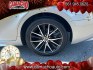 2023 SILVER Toyota Camry (4T1G11AK9PU) with an 4-Cyl 2.5 Liter engine, Automatic 8-Spd w/Sequential Shift transmission, located at 412 Auto Vista Drive, Palmdale, CA, 93551, (661) 945-0620, 34.592636, -118.136681- Photo#18