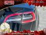 2023 BLACK Tesla Model 3 (5YJ3E1EA6PF) with an AC Electric Motor engine, Single-Speed Fixed Gear transmission, located at 412 Auto Vista Drive, Palmdale, CA, 93551, (661) 945-0620, 34.592636, -118.136681 - Photo#13