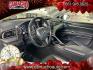2023 GRAY Toyota Camry (4T1G11AK7PU) with an 4-Cyl 2.5 Liter engine, Automatic 8-Spd w/Sequential Shift transmission, located at 412 Auto Vista Drive, Palmdale, CA, 93551, (661) 945-0620, 34.592636, -118.136681- Photo#16