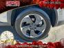 2024 GRAY Nissan Rogue (5N1BT3BA3RC) with an 3-Cyl Turbo 1.5 Liter engine, Automatic CVT transmission, located at 412 Auto Vista Drive, Palmdale, CA, 93551, (661) 945-0620, 34.592636, -118.136681- Photo#9