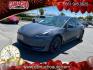 2023 GRAY Tesla Model 3 (5YJ3E1EC5PF) with an Dual AC Electric Motors engine, Single-Speed Fixed Gear transmission, located at 412 Auto Vista Drive, Palmdale, CA, 93551, (661) 945-0620, 34.592636, -118.136681- Photo#6