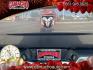 2024 GRAY RAM 1500 DS (1C6RR6GG5RS) , located at 412 Auto Vista Drive, Palmdale, CA, 93551, (661) 945-0620, 34.592636, -118.136681- Photo#12