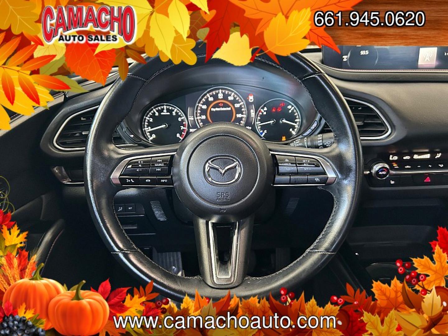 2025 Gray Mazda CX-30 (3MVDMBCM7SM) with an 4-Cyl SKYACTIV-G 2.5 Liter engine, Automatic 6-Spd transmission, located at 412 Auto Vista Drive, Palmdale, CA, 93551, (661) 945-0620, 34.592636, -118.136681- Photo#19