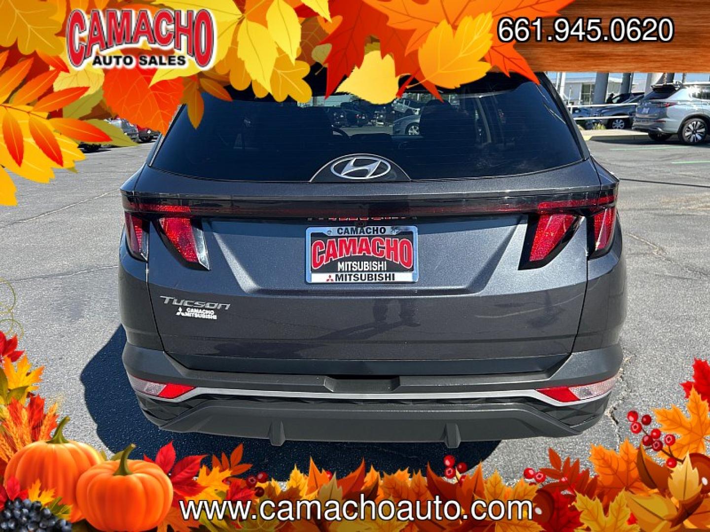 2024 Black Hyundai Tucson (5NMJB3DE0RH) with an 4-Cyl 2.5 Liter engine, Automatic 8-Spd transmission, located at 412 Auto Vista Drive, Palmdale, CA, 93551, (661) 945-0620, 34.592636, -118.136681- Photo#1