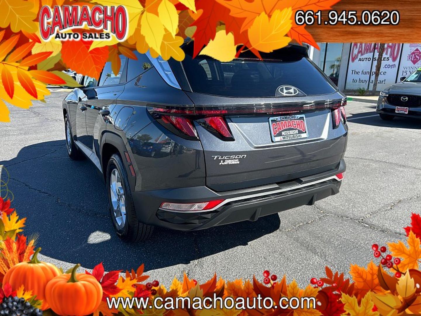 2024 Black Hyundai Tucson (5NMJB3DE0RH) with an 4-Cyl 2.5 Liter engine, Automatic 8-Spd transmission, located at 412 Auto Vista Drive, Palmdale, CA, 93551, (661) 945-0620, 34.592636, -118.136681- Photo#2