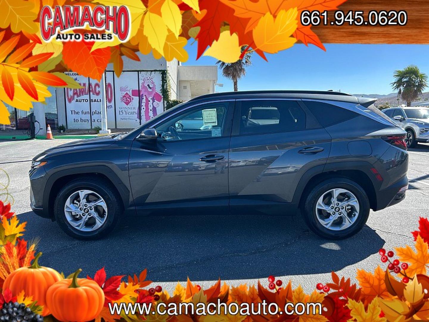 2024 Black Hyundai Tucson (5NMJB3DE0RH) with an 4-Cyl 2.5 Liter engine, Automatic 8-Spd transmission, located at 412 Auto Vista Drive, Palmdale, CA, 93551, (661) 945-0620, 34.592636, -118.136681- Photo#3