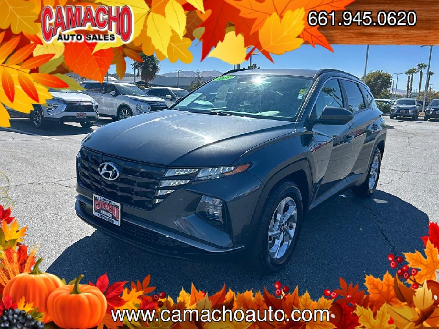 2024 Black Hyundai Tucson (5NMJB3DE0RH) with an 4-Cyl 2.5 Liter engine, Automatic 8-Spd transmission, located at 412 Auto Vista Drive, Palmdale, CA, 93551, (661) 945-0620, 34.592636, -118.136681- Photo#4