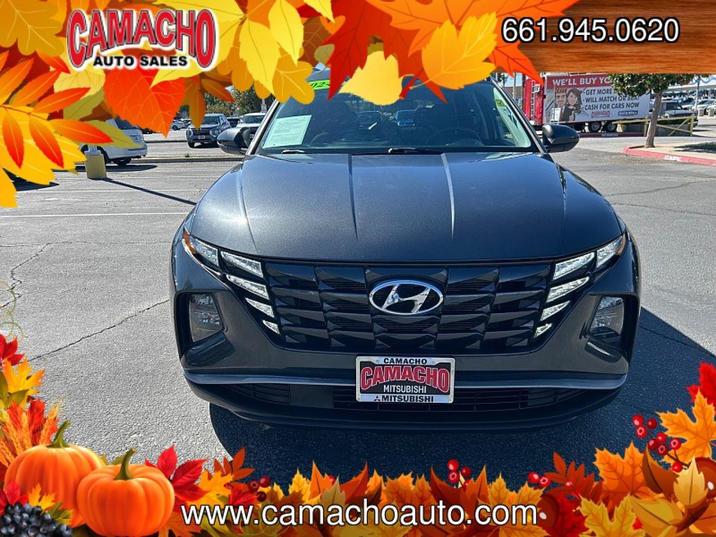 2024 Black Hyundai Tucson (5NMJB3DE0RH) with an 4-Cyl 2.5 Liter engine, Automatic 8-Spd transmission, located at 412 Auto Vista Drive, Palmdale, CA, 93551, (661) 945-0620, 34.592636, -118.136681- Photo#5