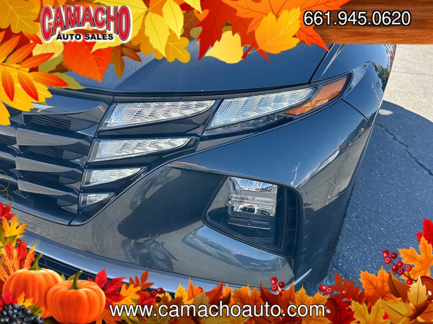 2024 Black Hyundai Tucson (5NMJB3DE0RH) with an 4-Cyl 2.5 Liter engine, Automatic 8-Spd transmission, located at 412 Auto Vista Drive, Palmdale, CA, 93551, (661) 945-0620, 34.592636, -118.136681- Photo#8