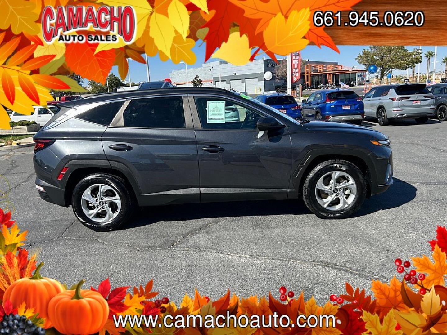 2024 Black Hyundai Tucson (5NMJB3DE0RH) with an 4-Cyl 2.5 Liter engine, Automatic 8-Spd transmission, located at 412 Auto Vista Drive, Palmdale, CA, 93551, (661) 945-0620, 34.592636, -118.136681- Photo#10