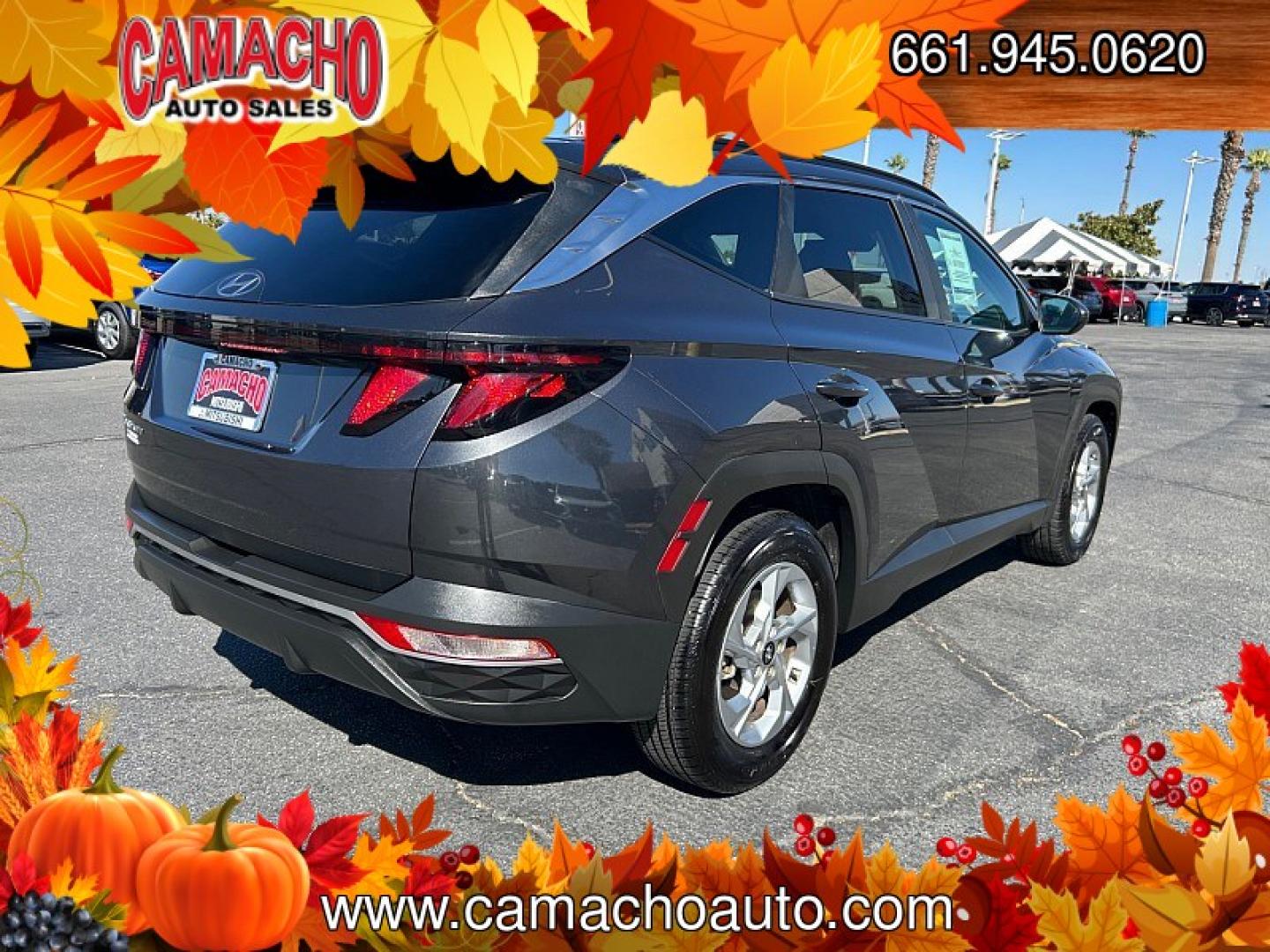 2024 Black Hyundai Tucson (5NMJB3DE0RH) with an 4-Cyl 2.5 Liter engine, Automatic 8-Spd transmission, located at 412 Auto Vista Drive, Palmdale, CA, 93551, (661) 945-0620, 34.592636, -118.136681- Photo#11