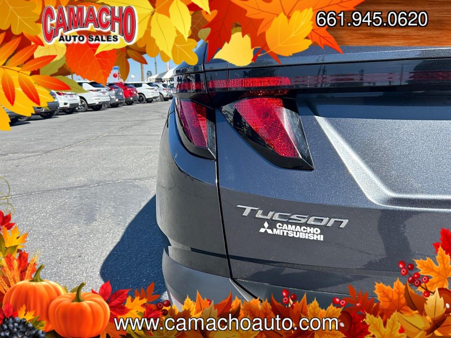 2024 Black Hyundai Tucson (5NMJB3DE0RH) with an 4-Cyl 2.5 Liter engine, Automatic 8-Spd transmission, located at 412 Auto Vista Drive, Palmdale, CA, 93551, (661) 945-0620, 34.592636, -118.136681- Photo#12