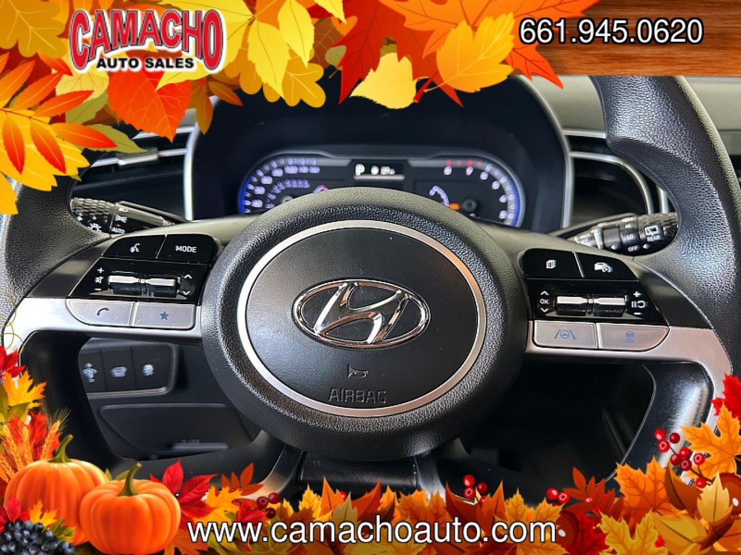 2024 Black Hyundai Tucson (5NMJB3DE0RH) with an 4-Cyl 2.5 Liter engine, Automatic 8-Spd transmission, located at 412 Auto Vista Drive, Palmdale, CA, 93551, (661) 945-0620, 34.592636, -118.136681- Photo#25