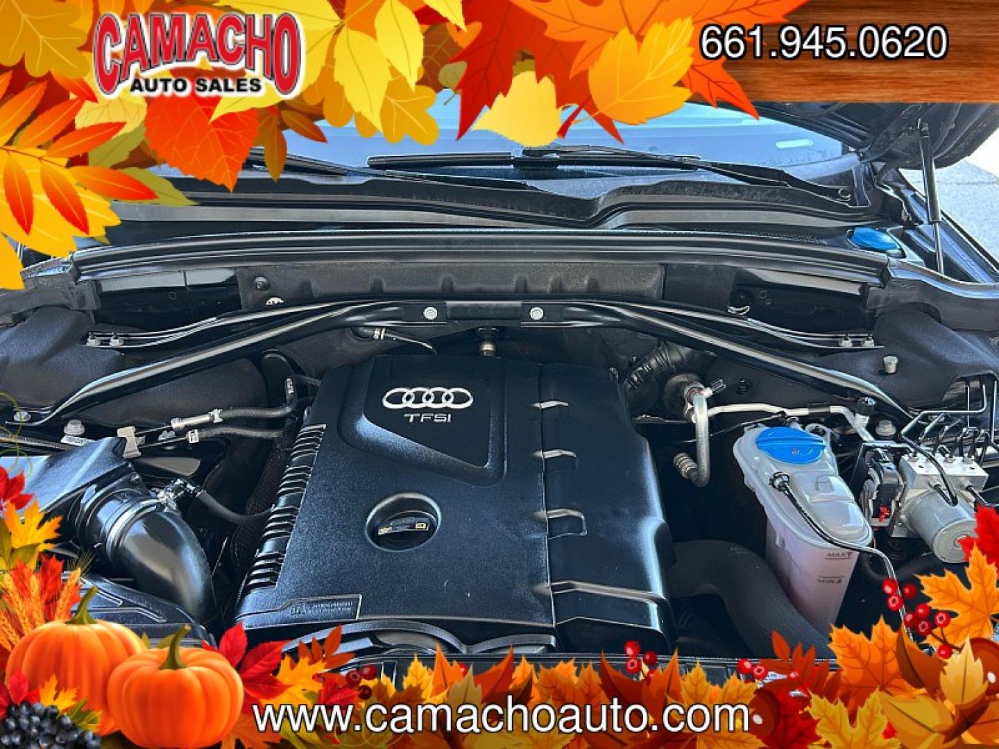 2016 BLACK Audi Q5 (WA1C2AFP2GA) with an 4-Cyl Turbo 2.0 Liter engine, Auto 8-Spd Tiptronic Spt transmission, located at 412 Auto Vista Drive, Palmdale, CA, 93551, (661) 945-0620, 34.592636, -118.136681- Photo#25