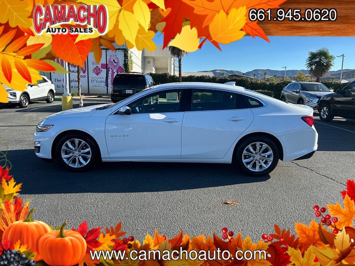 2024 White Chevrolet Malibu (1G1ZD5ST9RF) with an 4-Cyl Turbo 1.5 Liter engine, Automatic CVT transmission, located at 412 Auto Vista Drive, Palmdale, CA, 93551, (661) 945-0620, 34.592636, -118.136681- Photo#7