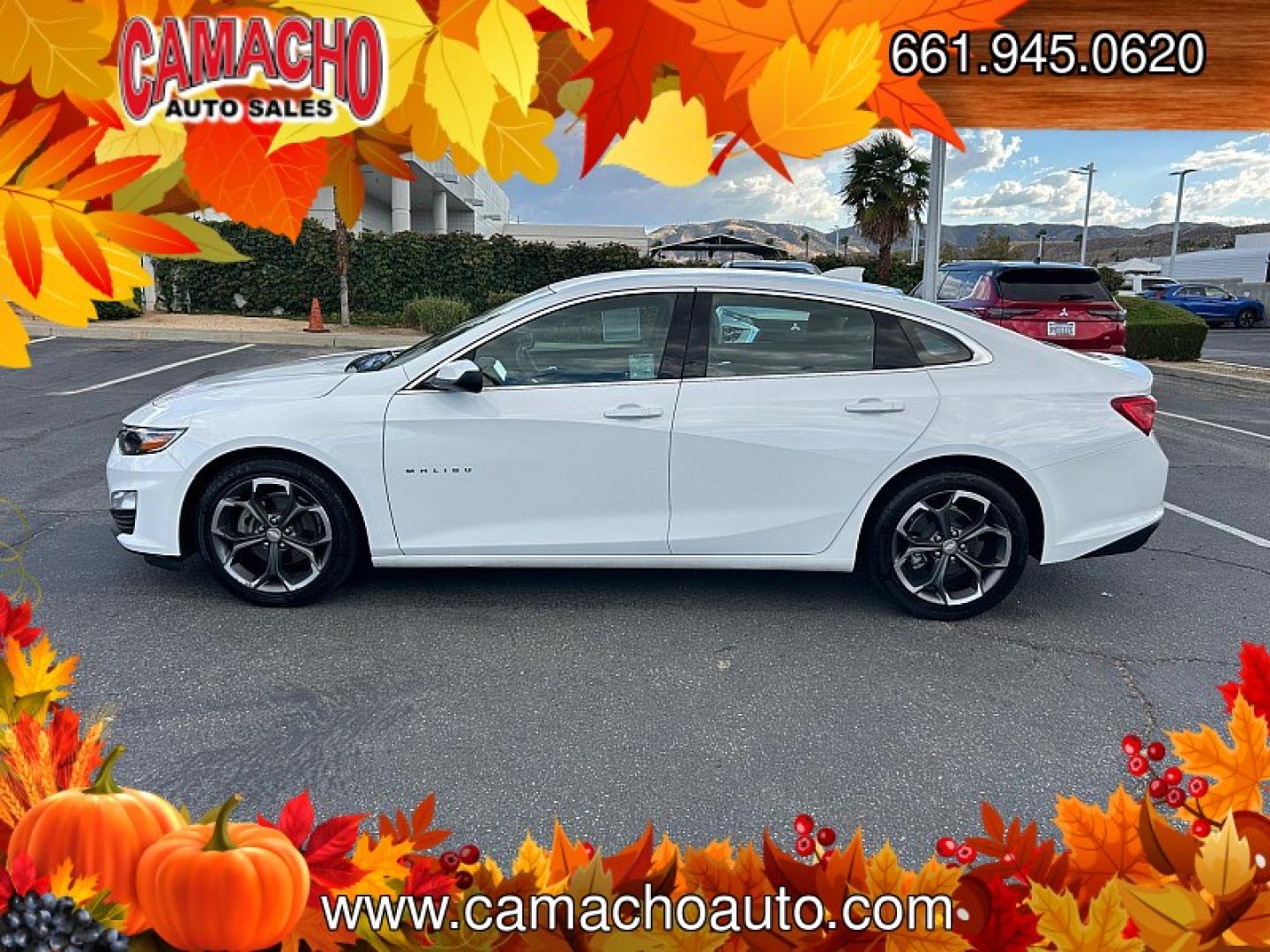 2023 WHITE Chevrolet Malibu (1G1ZD5STXPF) with an 4-Cyl Turbo 1.5 Liter engine, Automatic CVT transmission, located at 412 Auto Vista Drive, Palmdale, CA, 93551, (661) 945-0620, 34.592636, -118.136681- Photo#3