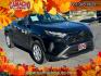 2025 BLACK Toyota RAV4 (2T3F1RFV1SC) with an 4-Cyl 2.5 Liter engine, Automatic 8-Spd w/Direct transmission, located at 412 Auto Vista Drive, Palmdale, CA, 93551, (661) 945-0620, 34.592636, -118.136681- Photo#0