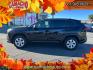 2025 BLACK Toyota RAV4 (2T3F1RFV1SC) with an 4-Cyl 2.5 Liter engine, Automatic 8-Spd w/Direct transmission, located at 412 Auto Vista Drive, Palmdale, CA, 93551, (661) 945-0620, 34.592636, -118.136681- Photo#7