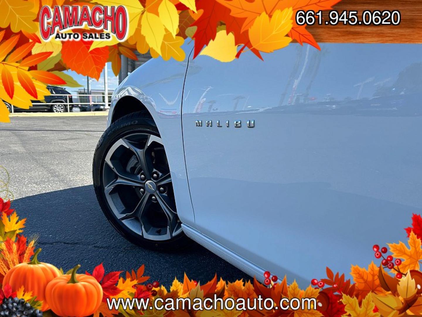 2024 White Chevrolet Malibu (1G1ZD5STXRF) with an 4-Cyl Turbo 1.5 Liter engine, Automatic CVT transmission, located at 412 Auto Vista Drive, Palmdale, CA, 93551, (661) 945-0620, 34.592636, -118.136681- Photo#15
