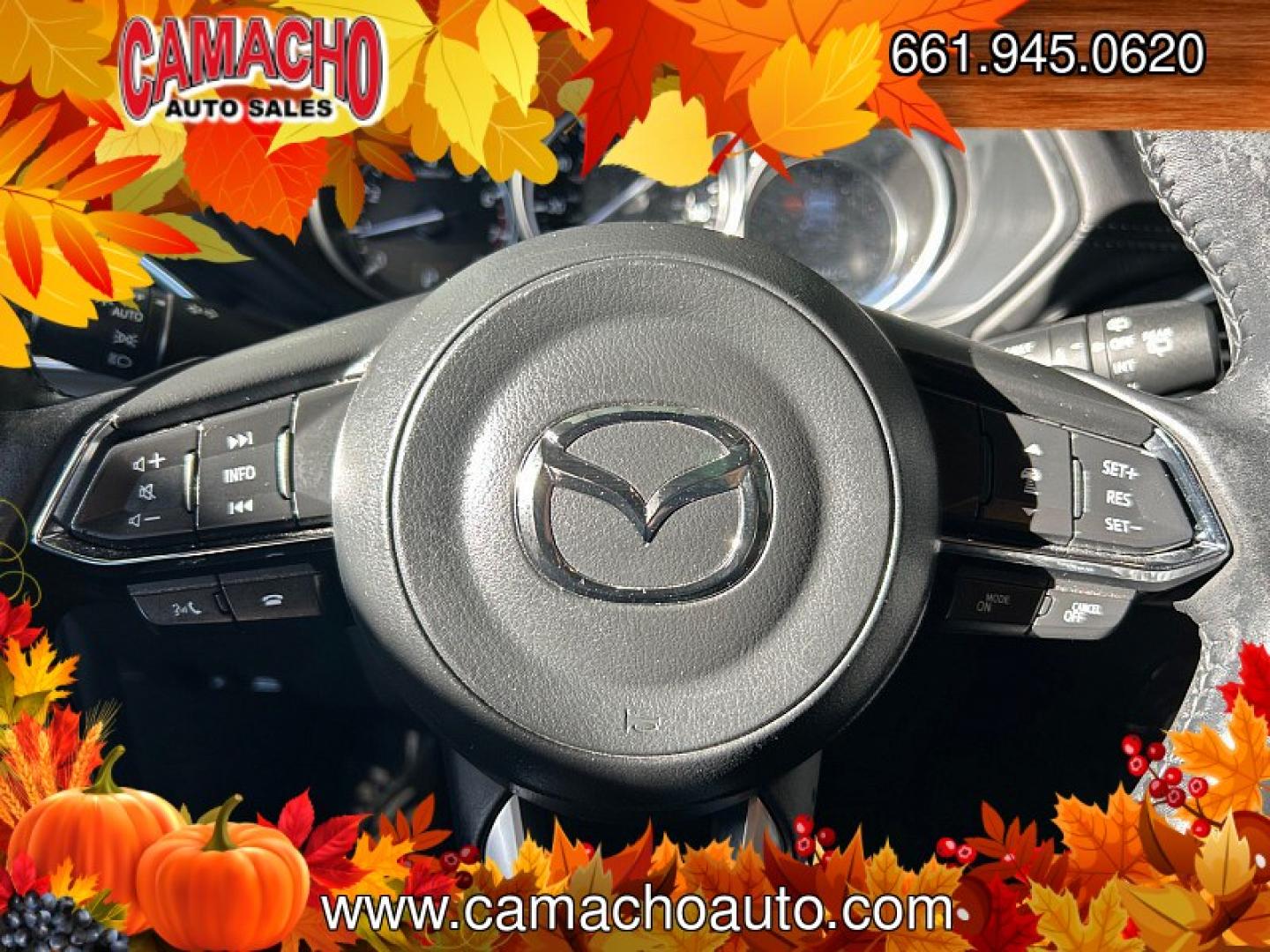 2025 Black Mazda CX-5 (JM3KFBBLXS0) with an 4-Cyl 2.5 Liter engine, Automatic 6-Spd transmission, located at 412 Auto Vista Drive, Palmdale, CA, 93551, (661) 945-0620, 34.592636, -118.136681- Photo#23