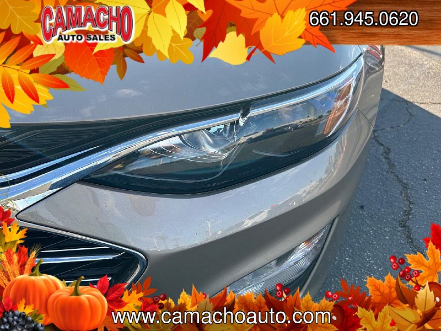 2025 White Hyundai Tucson (5NMJB3DE6SH) with an 4-Cyl 2.5 Liter engine, Automatic 8-Spd transmission, located at 412 Auto Vista Drive, Palmdale, CA, 93551, (661) 945-0620, 34.592636, -118.136681- Photo#5