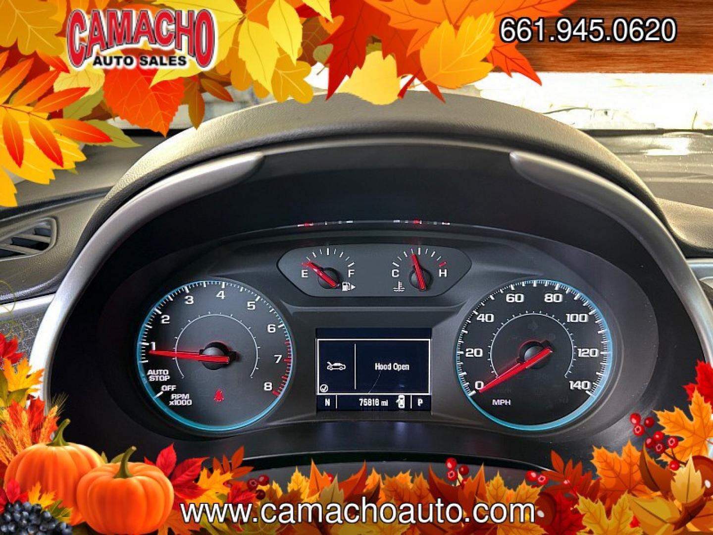 2025 White Hyundai Tucson (5NMJB3DE6SH) with an 4-Cyl 2.5 Liter engine, Automatic 8-Spd transmission, located at 412 Auto Vista Drive, Palmdale, CA, 93551, (661) 945-0620, 34.592636, -118.136681- Photo#26