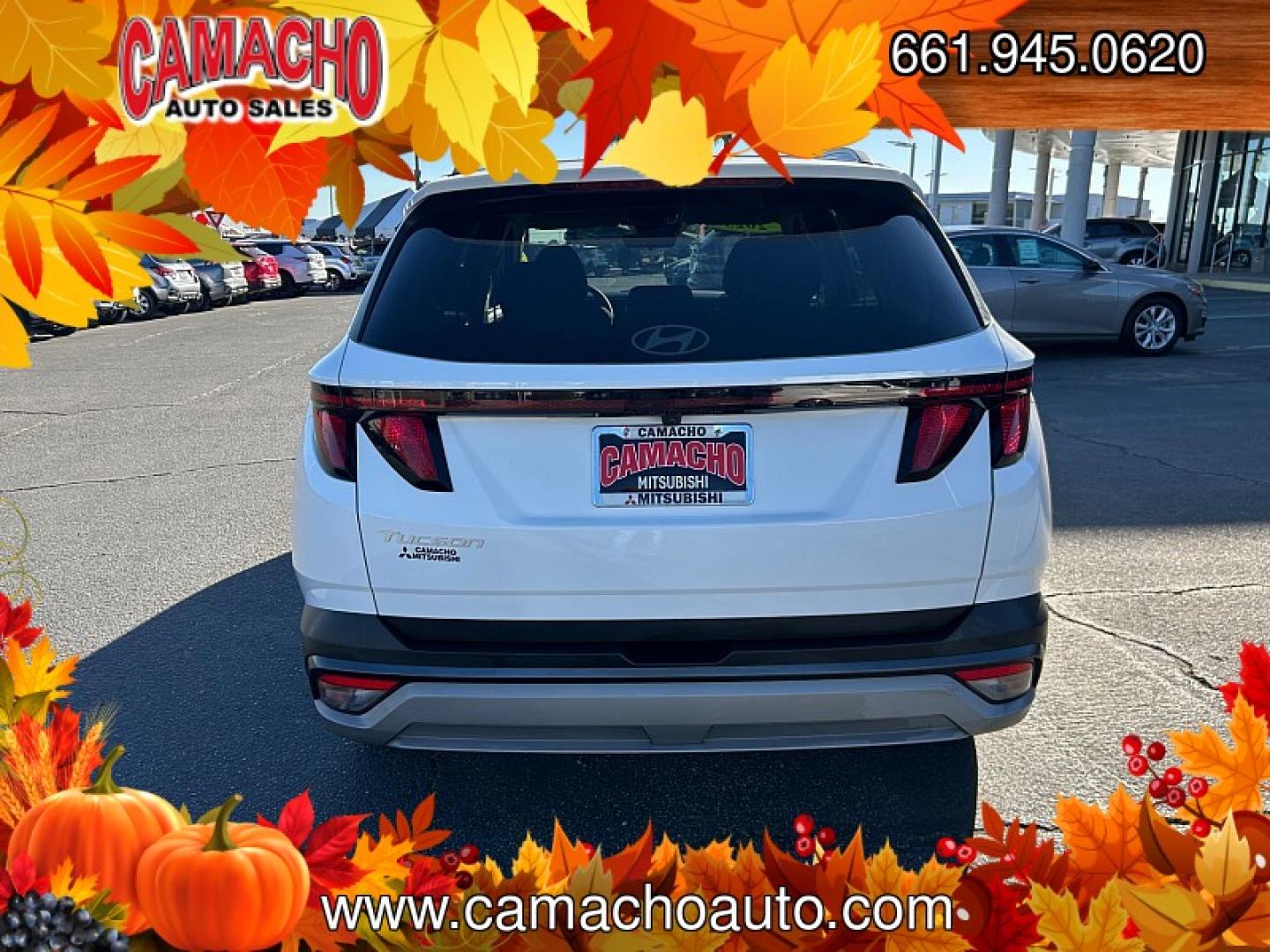 2025 WHITE Hyundai Tucson (5NMJB3DE6SH) with an 4-Cyl 2.5 Liter engine, Automatic 8-Spd transmission, located at 412 Auto Vista Drive, Palmdale, CA, 93551, (661) 945-0620, 34.592636, -118.136681- Photo#4