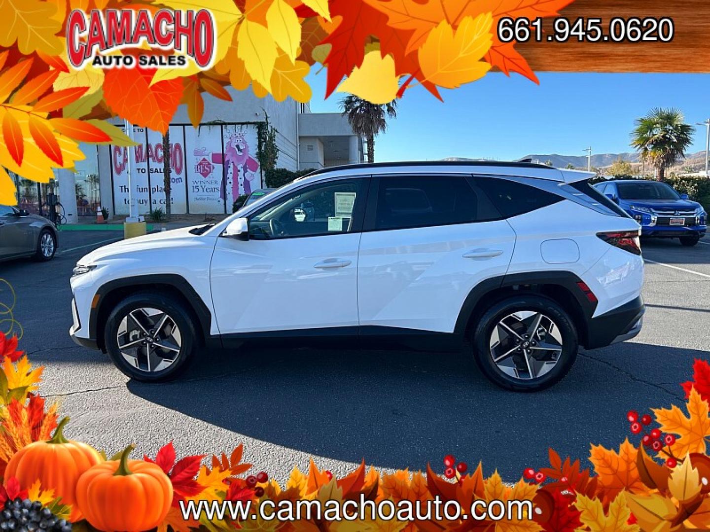 2025 WHITE Hyundai Tucson (5NMJB3DE6SH) with an 4-Cyl 2.5 Liter engine, Automatic 8-Spd transmission, located at 412 Auto Vista Drive, Palmdale, CA, 93551, (661) 945-0620, 34.592636, -118.136681- Photo#6