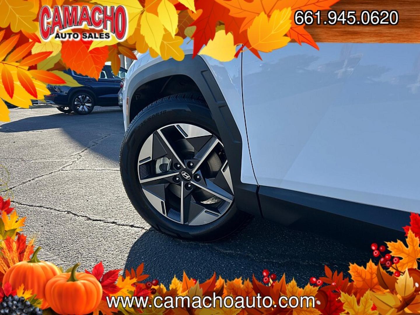 2025 WHITE Hyundai Tucson (5NMJB3DE6SH) with an 4-Cyl 2.5 Liter engine, Automatic 8-Spd transmission, located at 412 Auto Vista Drive, Palmdale, CA, 93551, (661) 945-0620, 34.592636, -118.136681- Photo#8